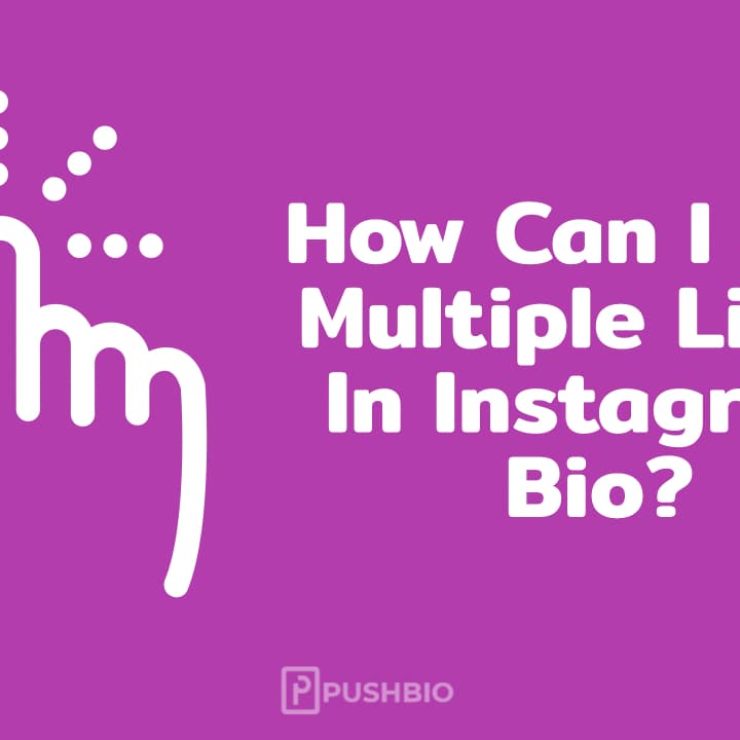 How Can I Add Multiple Links In Instagram Bio?
