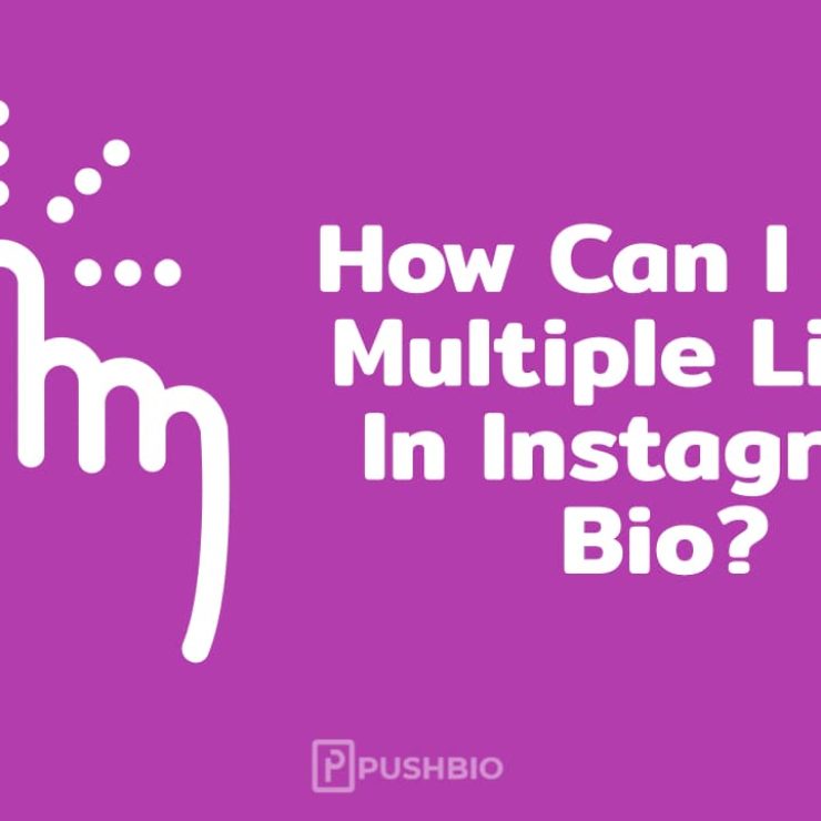 How Can I Add Multiple Links In Instagram Bio?