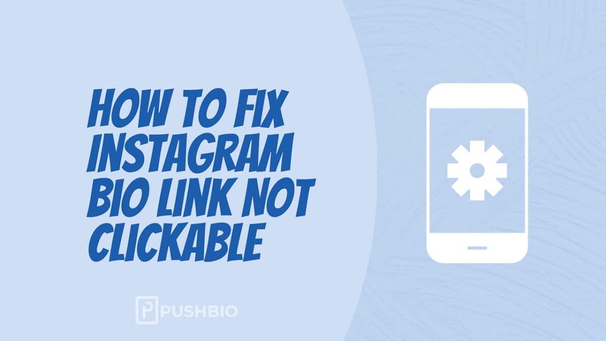 Quick Guide on How to Fix Instagram Bio Link Not Clickable - Push Bio