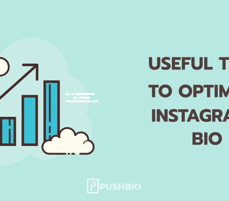 Instagram Bio Optimization: 10 Tips To Get It Done Quickly