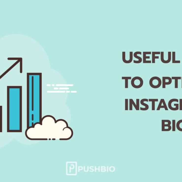 Instagram Bio Section: How Can I Optimize my Bio?