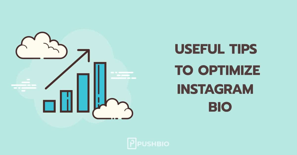 Instagram Bio Section: How Can I Optimize my Bio?