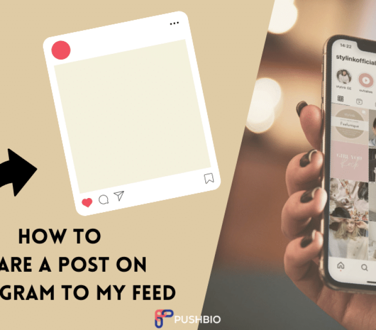 How to Share a Post on Instagram to Your Feed