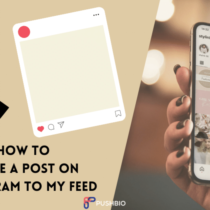 How to Share a Post on Instagram to Your Feed