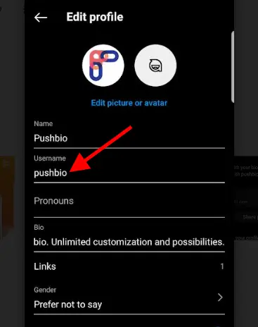 username on the Instagram app