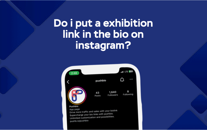 Do I Put an Exhibition Link in the Bio on Instagram?