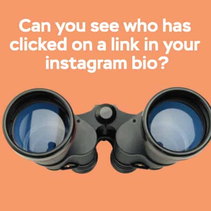 Can You See Who Has Clicked on a Link in Your Bio Instagram?