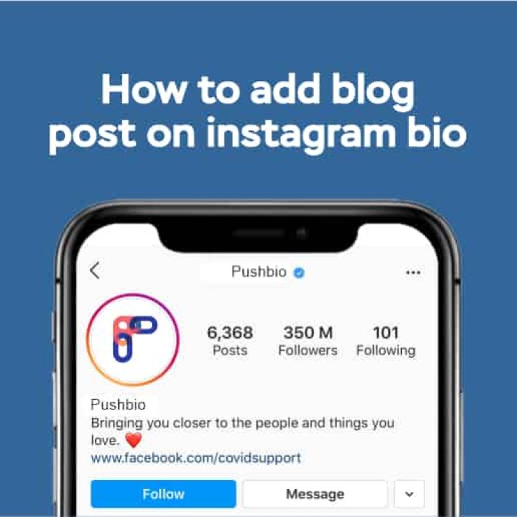 How to Add Blog Post on Instagram Bio