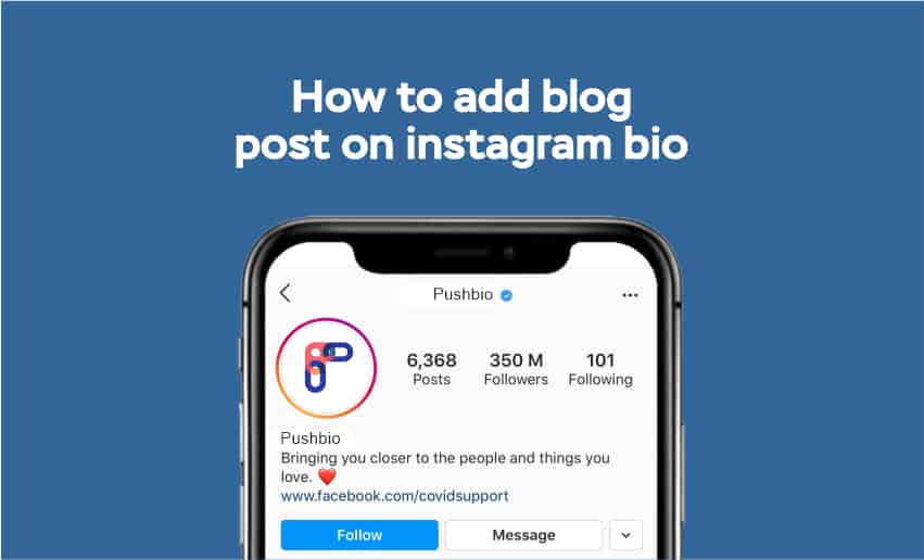 How to Add Blog Post on Instagram Bio