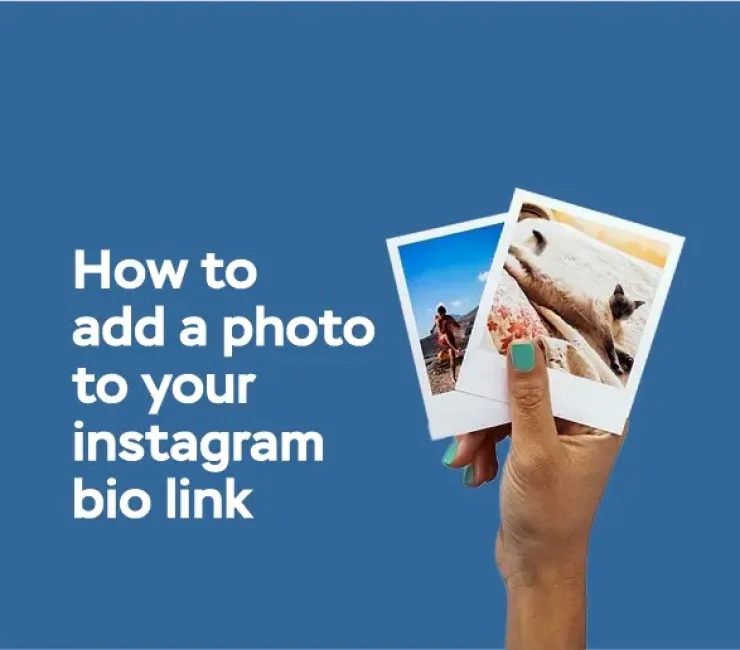 How to Add a Photo to Your Instagram Bio Link