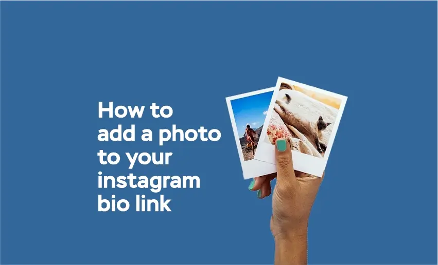 How to Add a Photo to Your Instagram Bio Link