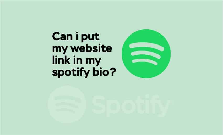 Can I Put My Website Link in My Spotify Bio?