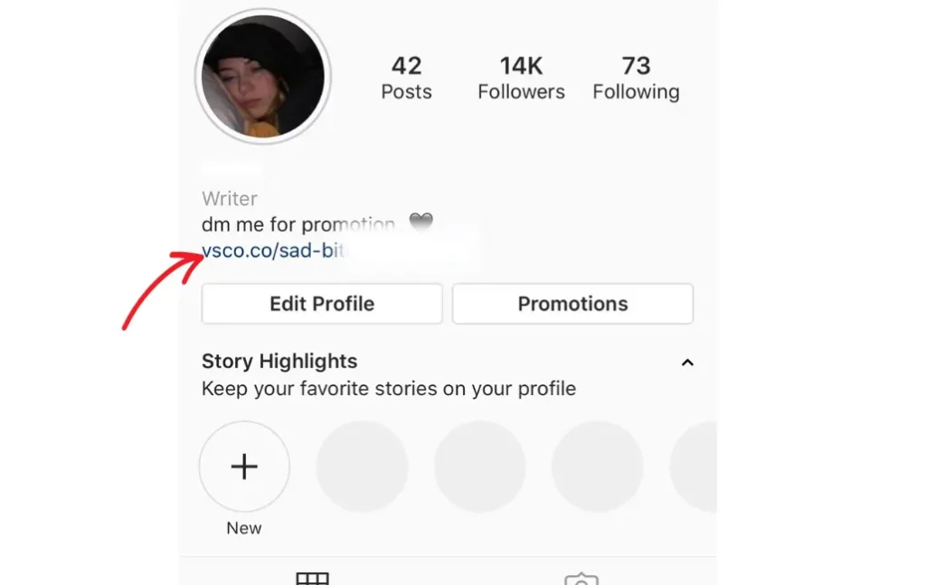 VSCO link in Instagram bio