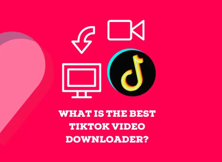 What Is the Best TikTok Video Downloader?