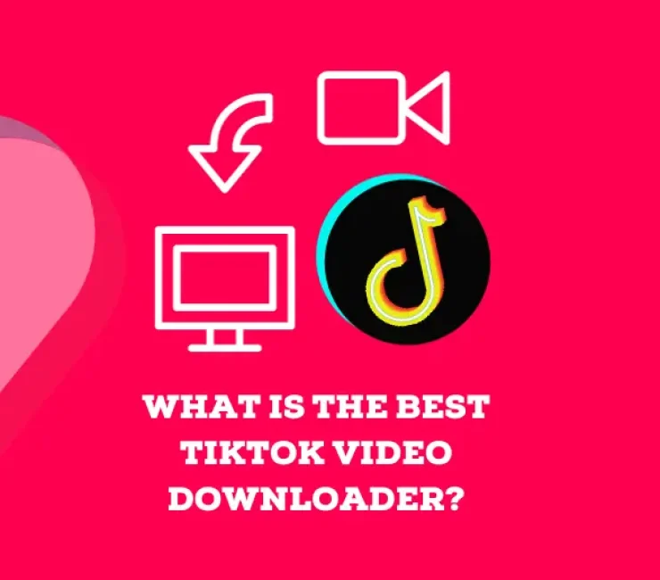 What Is the Best TikTok Video Downloader?