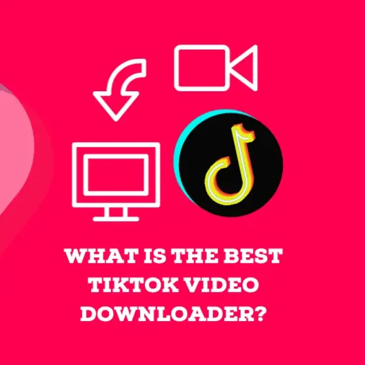 What Is the Best TikTok Video Downloader?