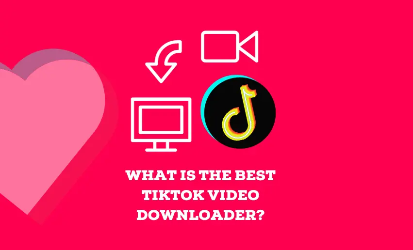 What Is the Best TikTok Video Downloader?