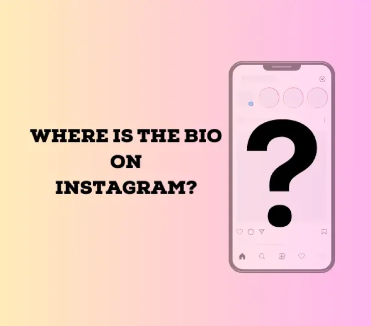 Where is the Bio on Instagram?