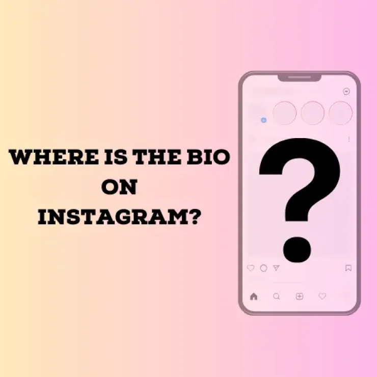 Where is the Bio on Instagram?