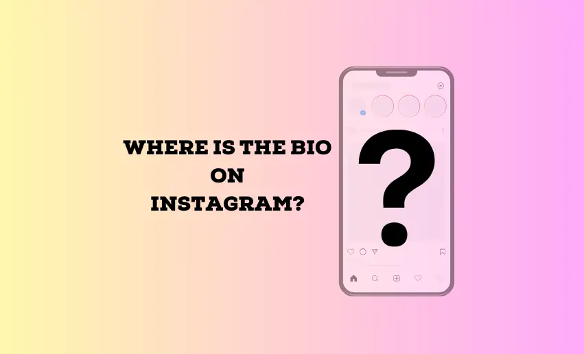 Where is the Bio on Instagram?