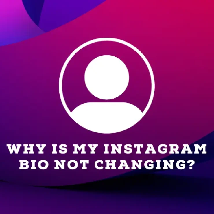 Why Is My Instagram Bio Not Changing?