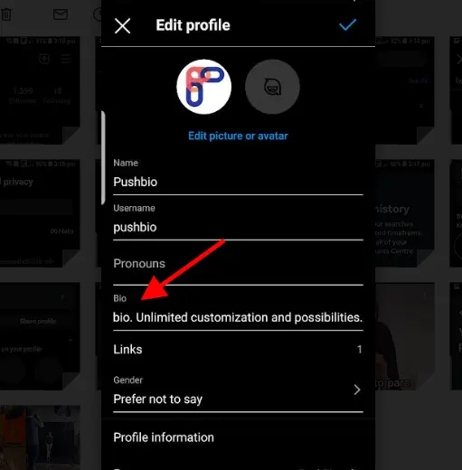 edit bio on IG