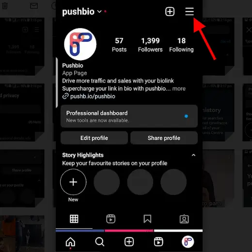 Pushbio Instagram profile