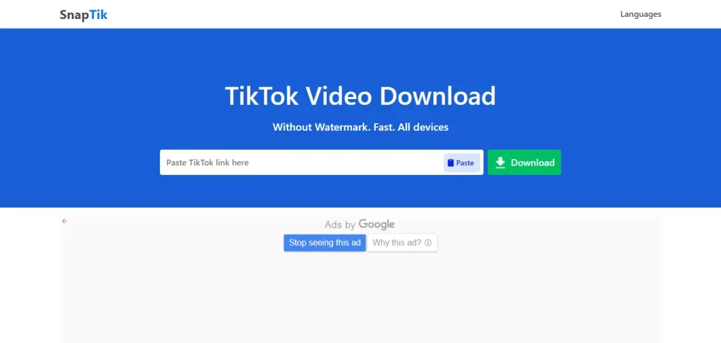 What Is the Best TikTok Video Downloader? SnapTik