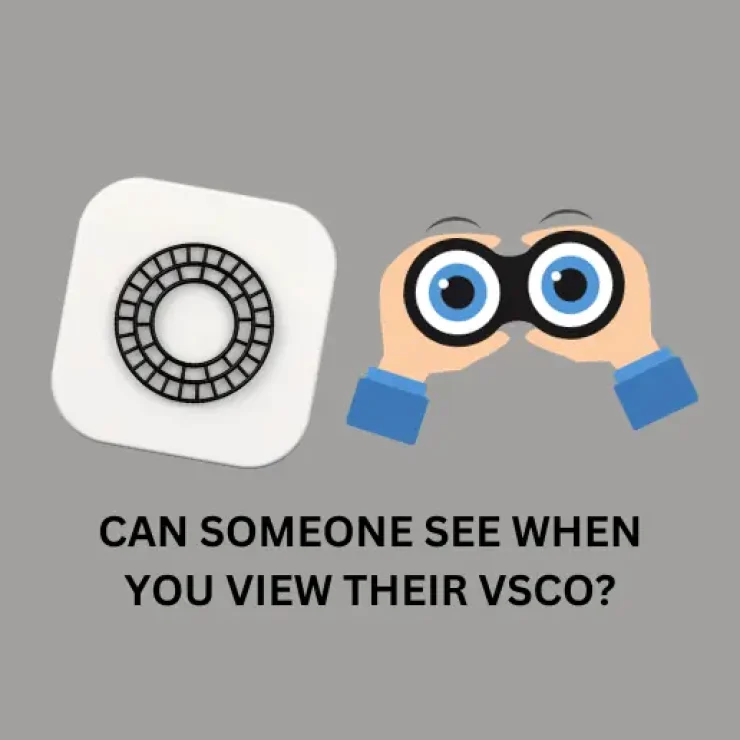 Can Someone See When You View Their VSCO?