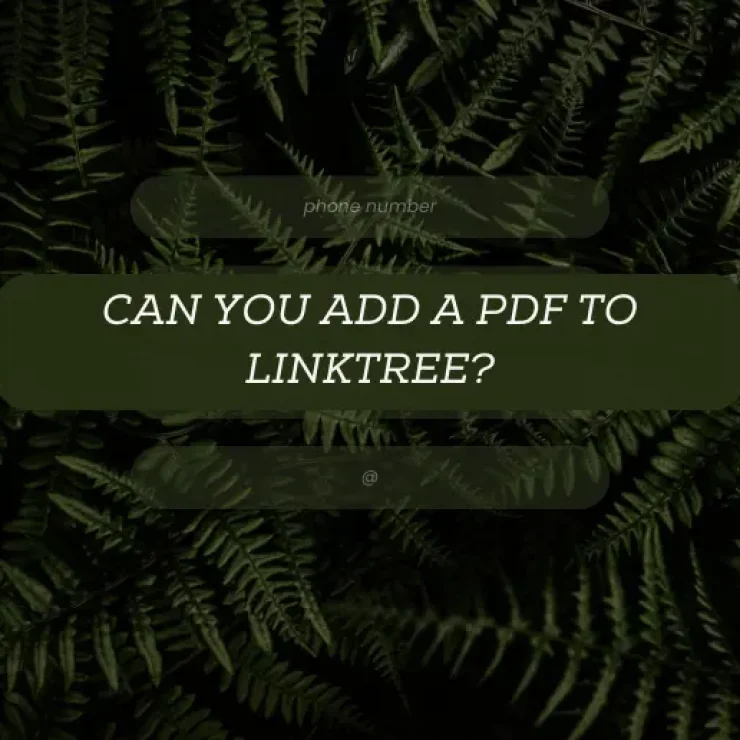 Can You Add a PDF to Linktree?