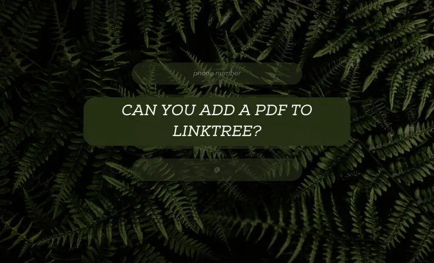 Can You Add a PDF to Linktree?