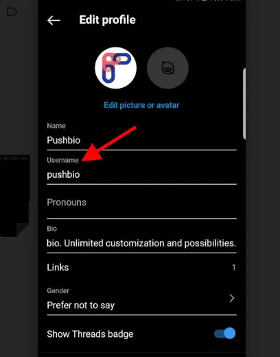 Why Can't I Change My Username on Instagram