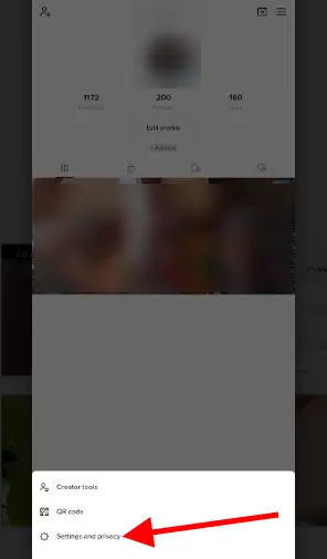TikTok Settings and Privacy