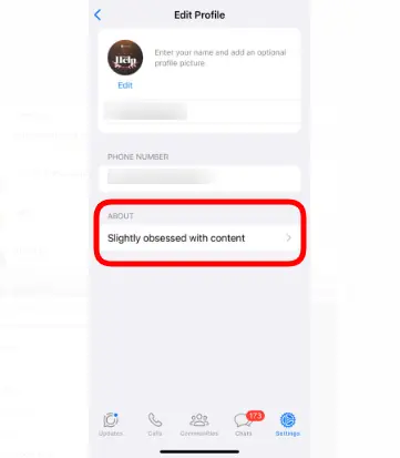 WhatsApp 'About' Section on iOS