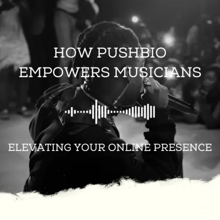 How Pushbio Empowers Musicians: Elevating Your Online Presence