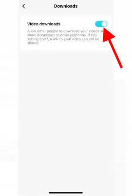 You can turn video downloads on or off by toggling the switch in the 'Downloads' tab