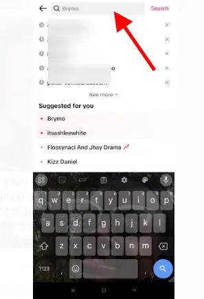 TikTok Search Button