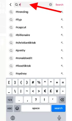 TikTok Search