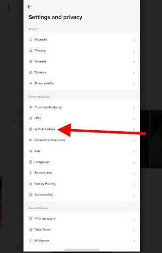 How to check your TikTok watch history from the settings page