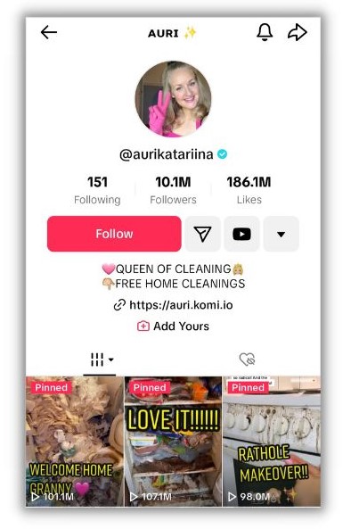 Build your TikTok following