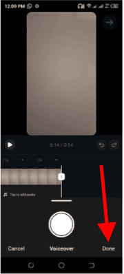 add audio to Reels on Instagram : Voiceover