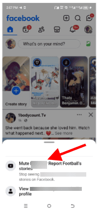 Mute Stories from specific people or pages