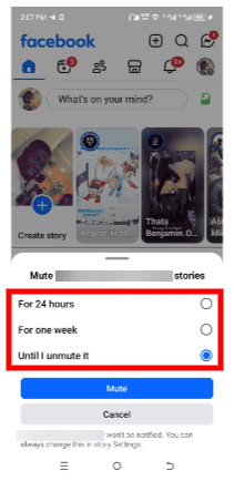 Mute Stories from specific people or pages